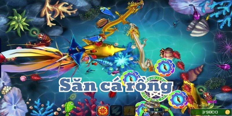 Game bắn cá rồng online cực hấp dẫn cho bet thủ