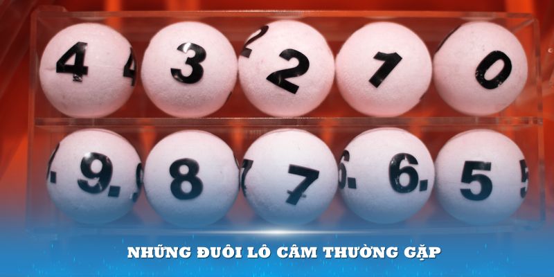 Những đuôi lô câm thường gặp