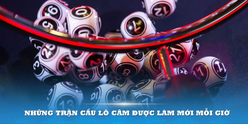 Những trận cầu lô câm được làm mới mỗi giờ